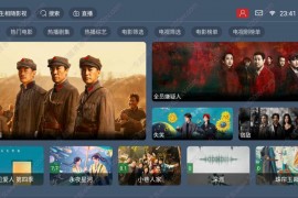 最新tvbox五套UI绿豆盒子UI8影视APP源码 TV端影视APP反编译源码支持会员系统/代理系统/直播/自带免签收款/批量生成卡密